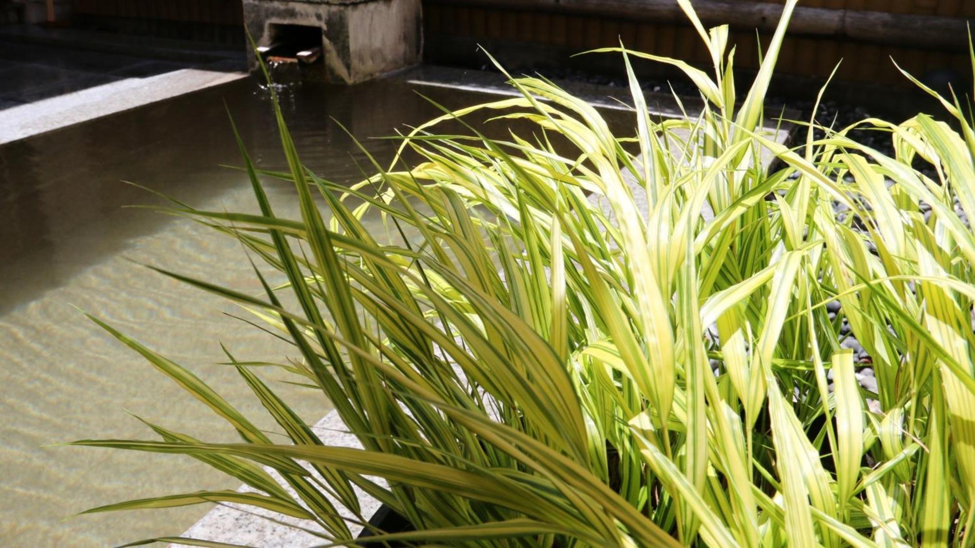 Baigetsu Ryokan Shimosuwa Exterior photo
